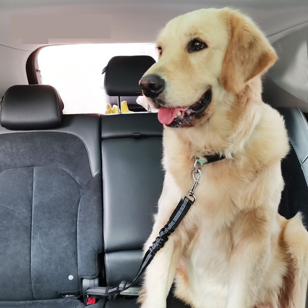 Best Dog Harnesses For Cars Comet Pets - Best Pet Car Seat Belt