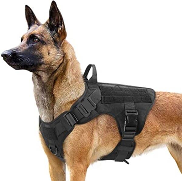 Tactical Dog Vest - Comet Pets
